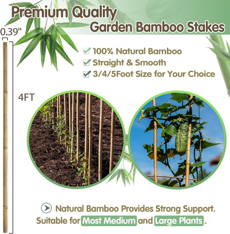 BOVITRO Bamboo Stakes,4FT Natural Bamboo Garden Stakes, 25Pcs Plant Stakes,Bamboo Sticks for Tomato,Beans,Vegetable and Climbing Plants - Image 4
